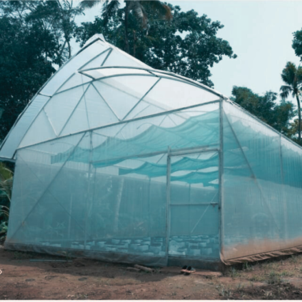 Untitled-design-19-1