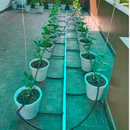 Untitled design (32)