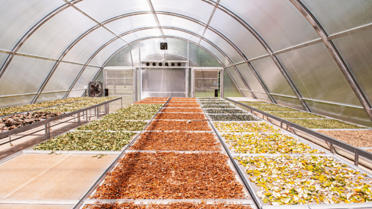 solar dryer