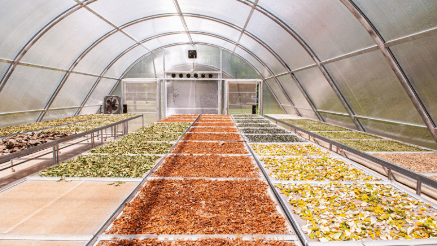 solar dryer