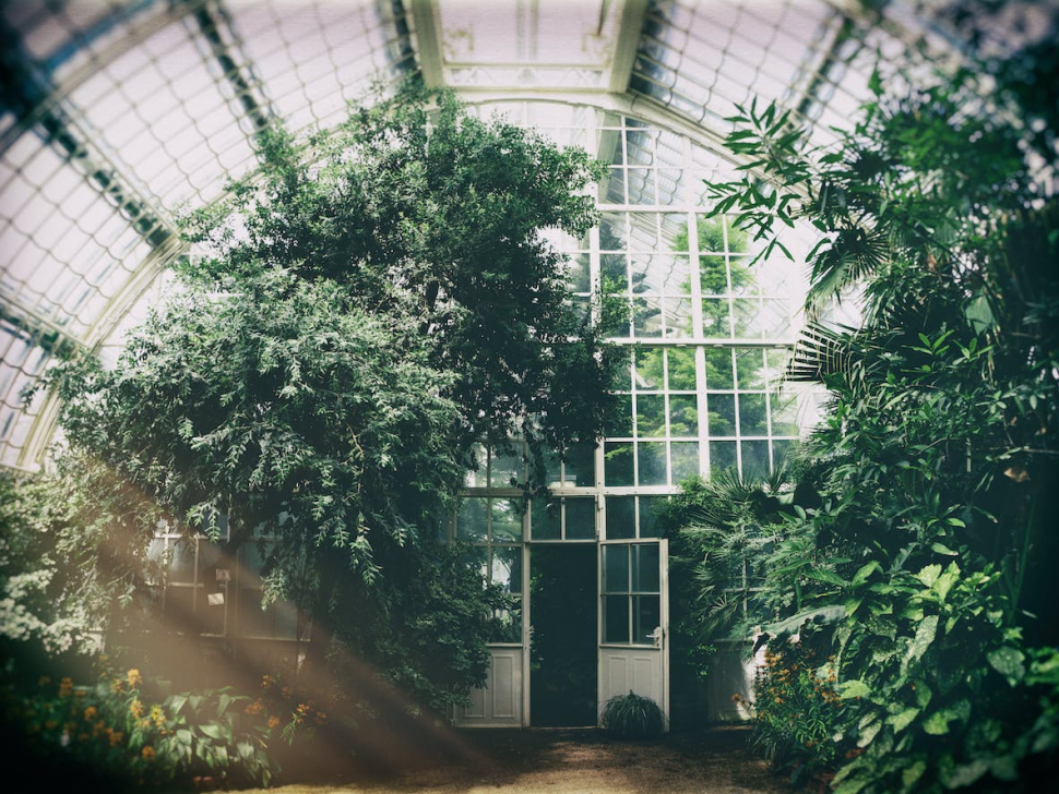 Future Agri Innovation