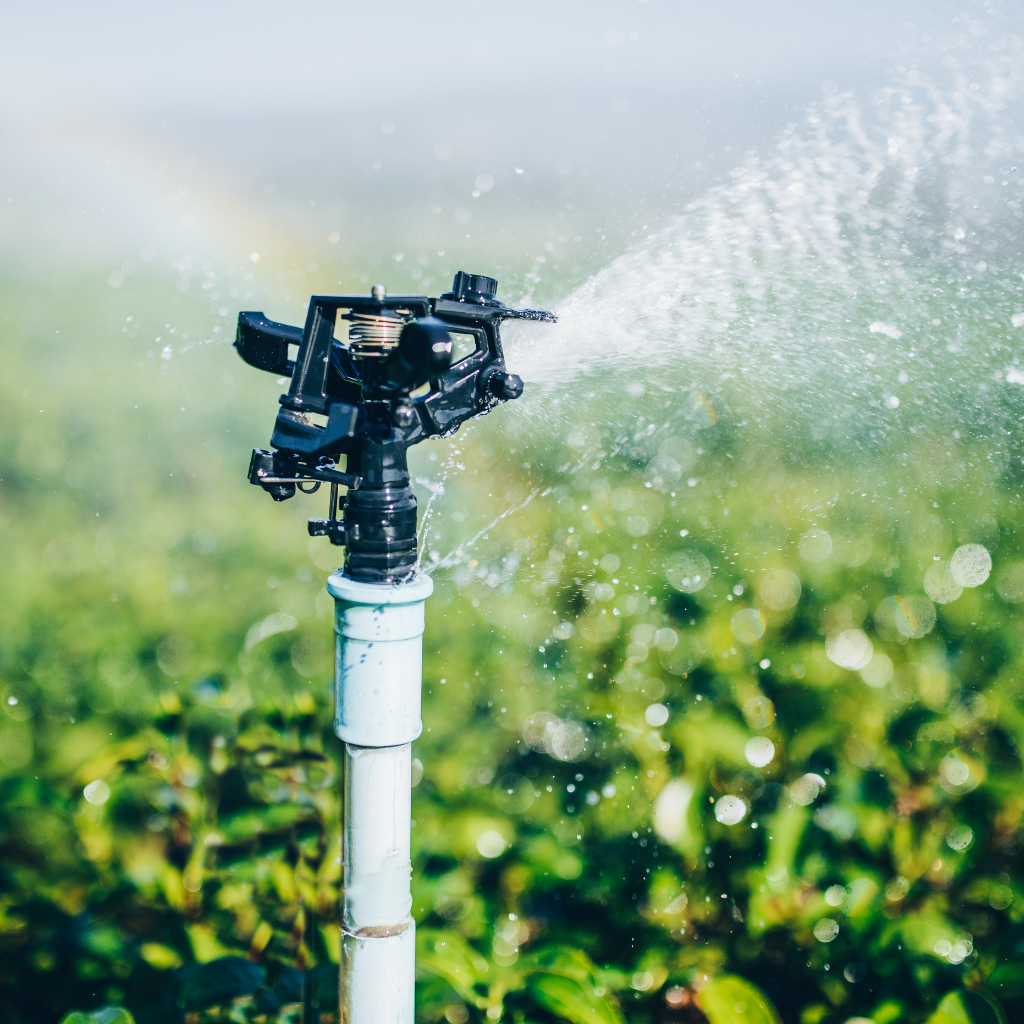 sprinkler irrigation